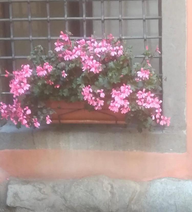 Apartamento Casa Mirella Lovere Exterior foto